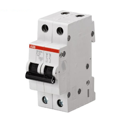 2CDS252230R0824 – MCB ABB SY202-C100